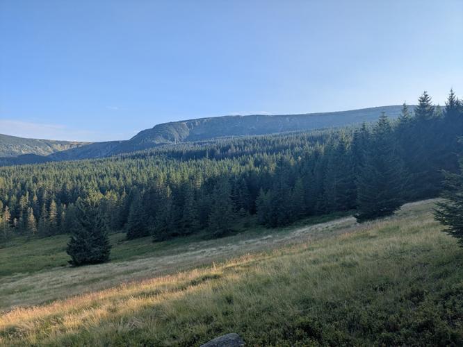 PXL_20250809_164254568.jpg