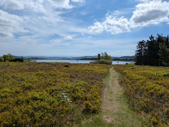 PXL_20260522_084323325.jpg