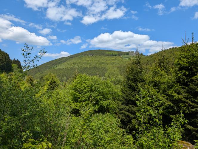 Ettelsberg / Langenberg