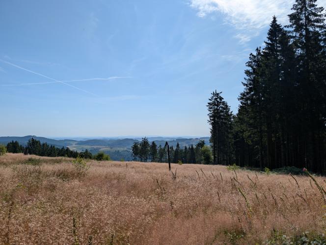 PXL_20260725_081321586.jpg
