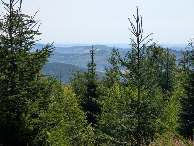 PXL_20260725_090125653.jpg