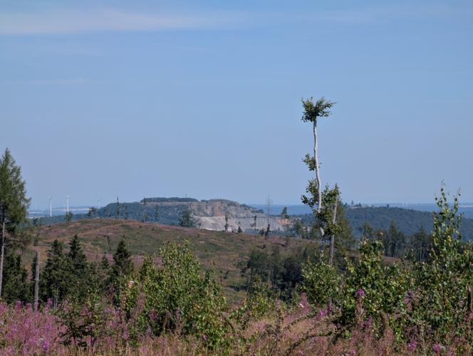 PXL_20260725_092943228.jpg