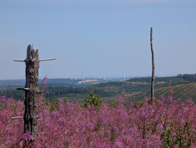 PXL_20260725_093043370.jpg
