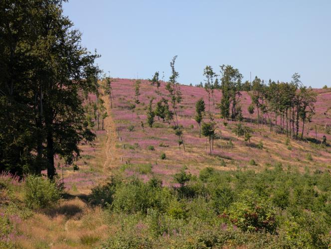 PXL_20260725_094114794.jpg