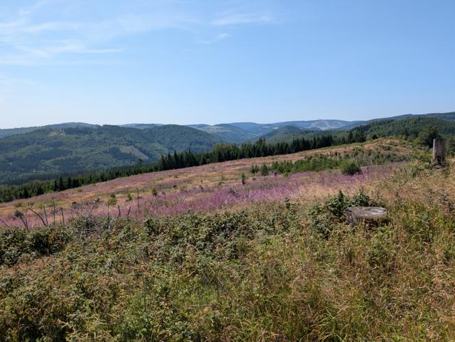 PXL_20260725_101554424.jpg