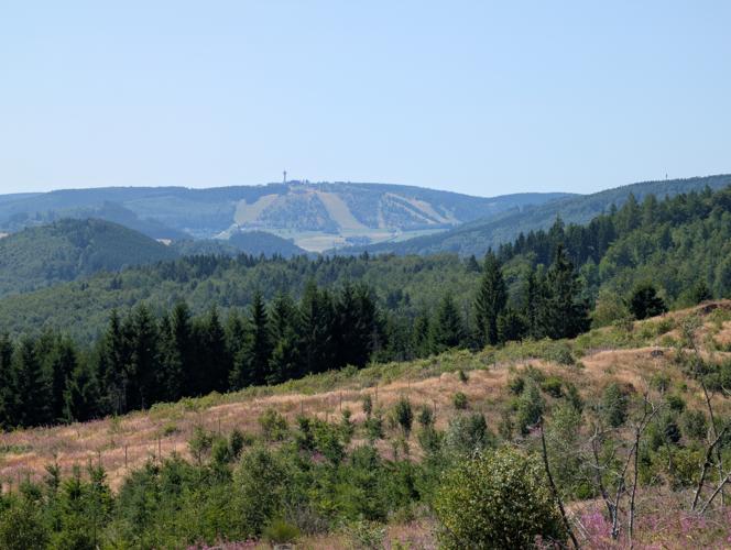 PXL_20260725_101613730.jpg