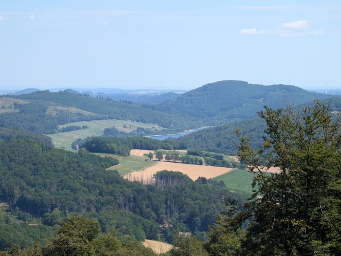 PXL_20260725_102253366.jpg