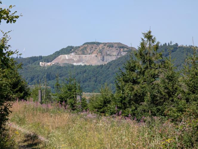 PXL_20260725_105532493.jpg