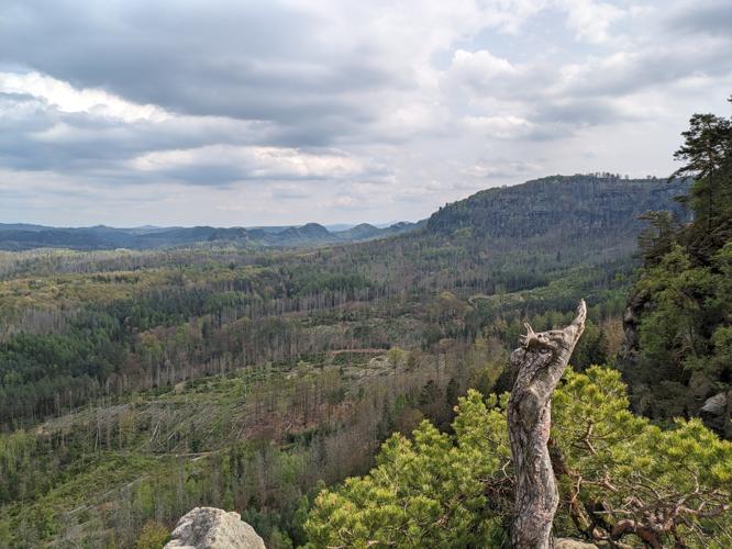 Aussicht von der Haentzschelstiege Richtung Koenigsweg