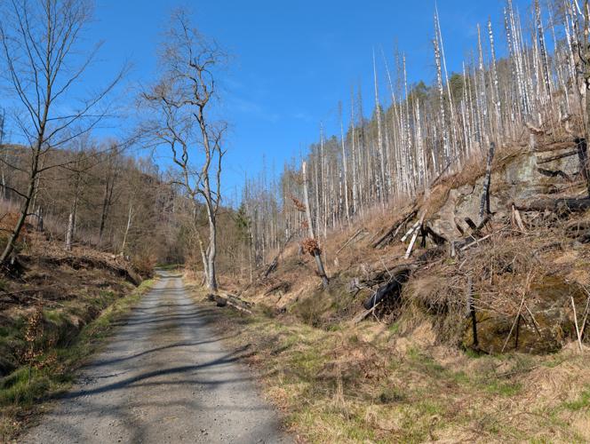 PXL_20260411_135017906.jpg