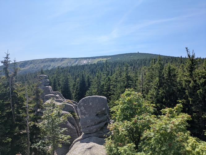 PXL_20250807_111450314.jpg