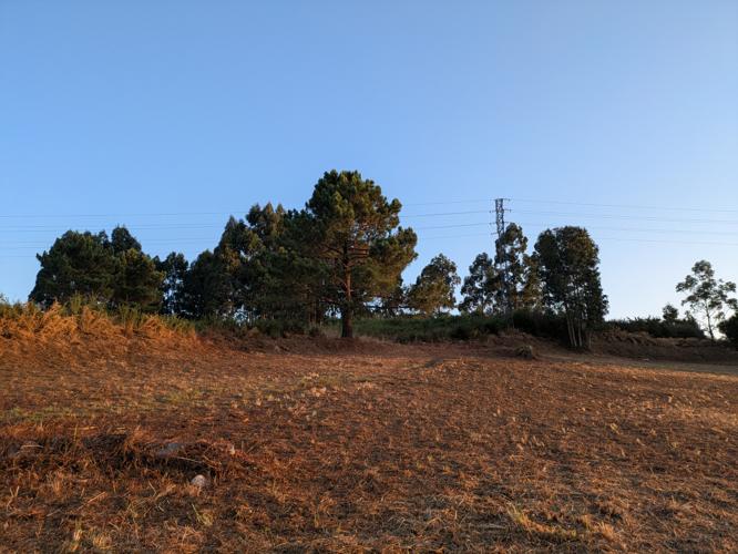 PXL_20250905_063232262.jpg