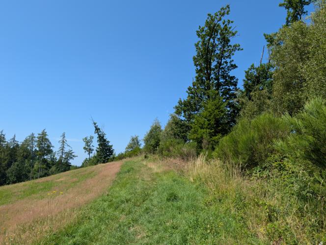 PXL_20260704_100622608.jpg