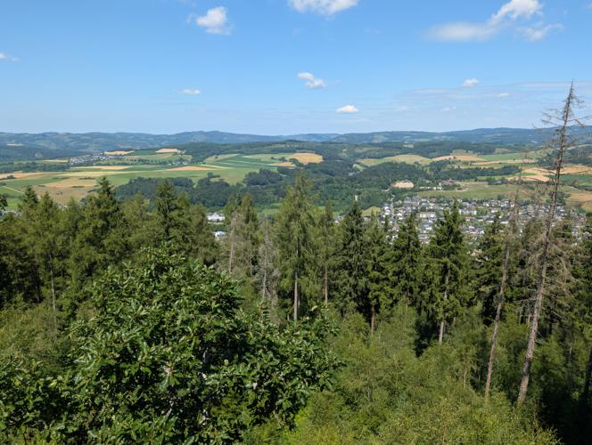 PXL_20260704_102550152.jpg