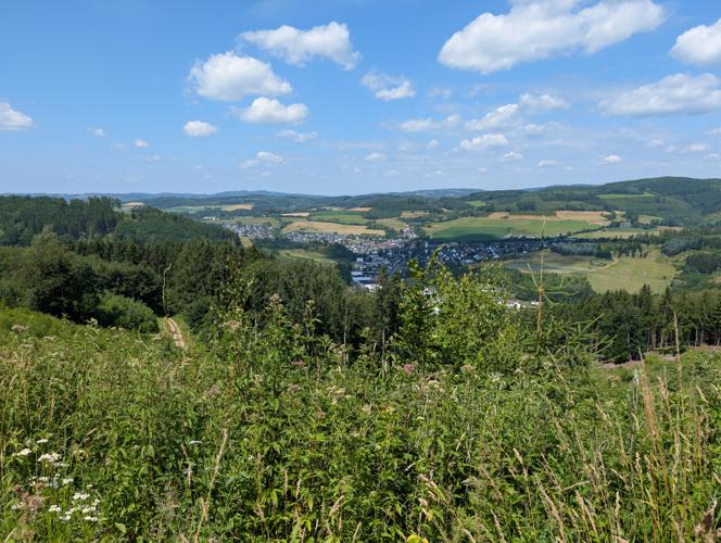 PXL_20260704_105540286.jpg