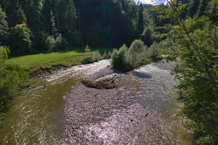 IMG_2441.jpg