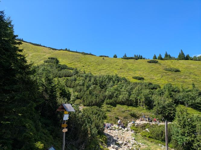 PXL_20250806_100114411.jpg