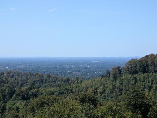 PXL_20260812_094913345.jpg