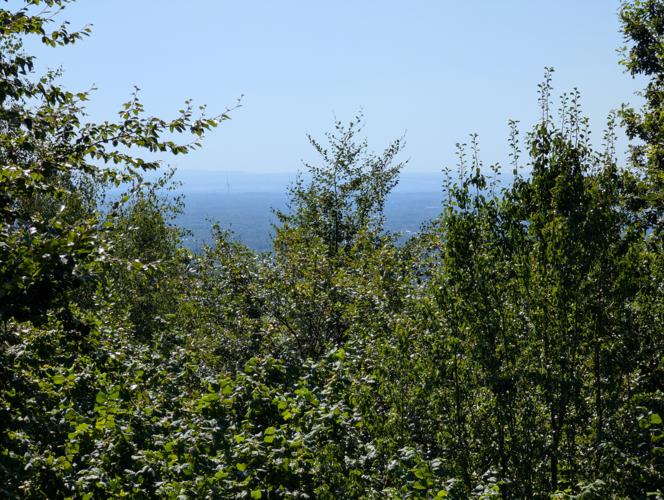 PXL_20260812_103633332.jpg