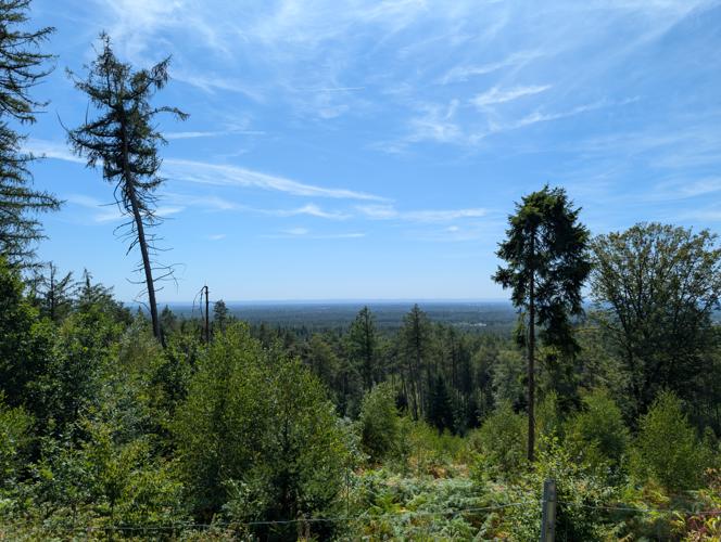 PXL_20260812_113552974.jpg