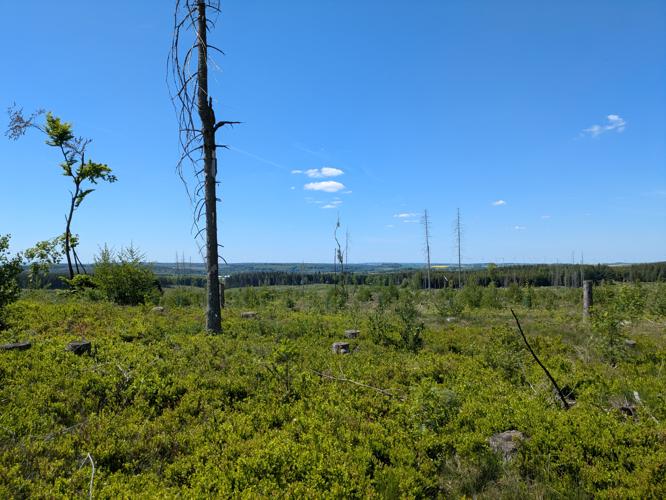 PXL_20250510_110345678.jpg