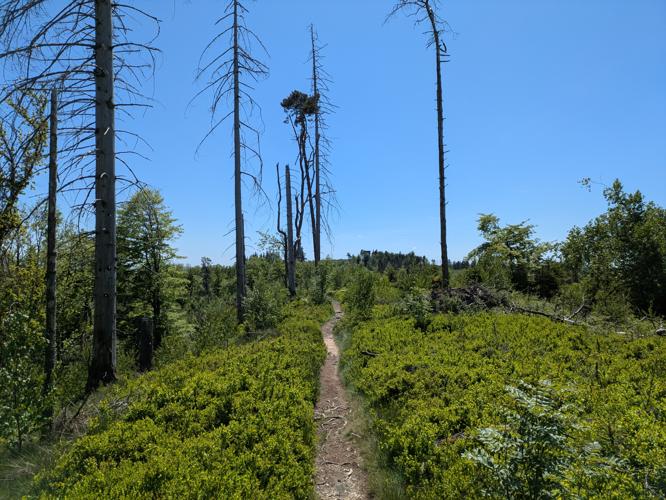 Klippenweg