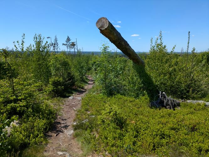 PXL_20250510_110646285.jpg